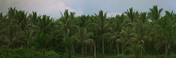 dshea2005 Profile Banner