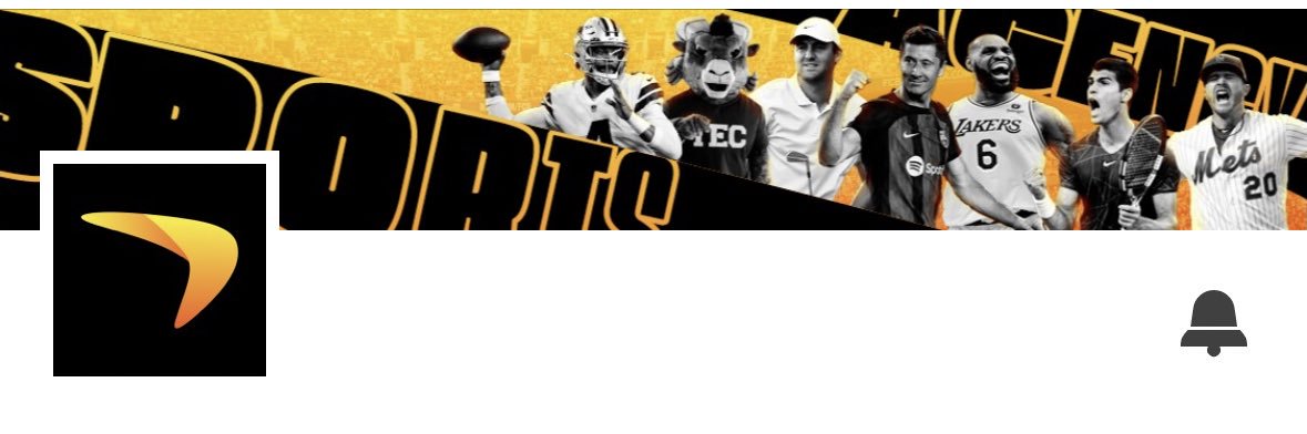 Alba Saiz banner