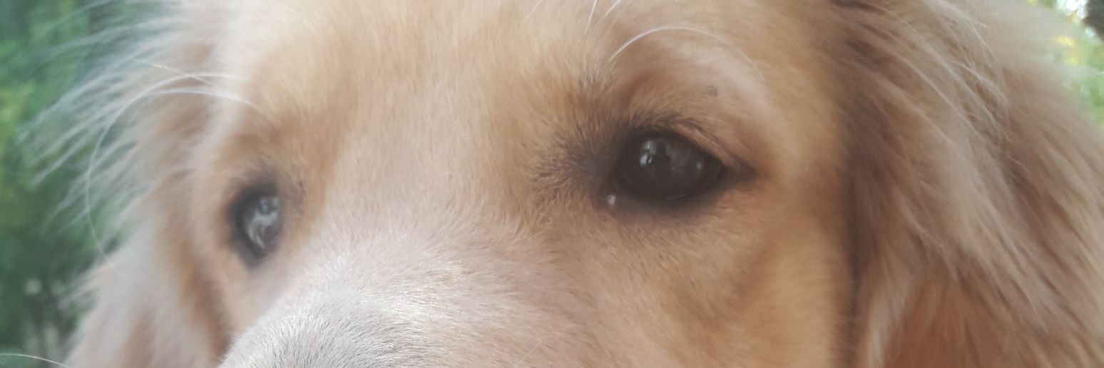 aimicastelli's profile banner image