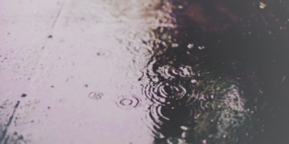 stylesgdrss's profile banner image