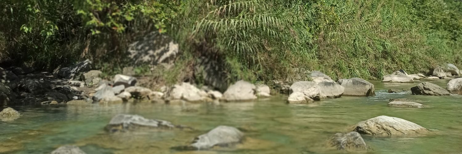 PattyLu_'s profile banner image