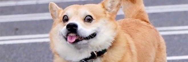 Naturally_nut's profile banner image
