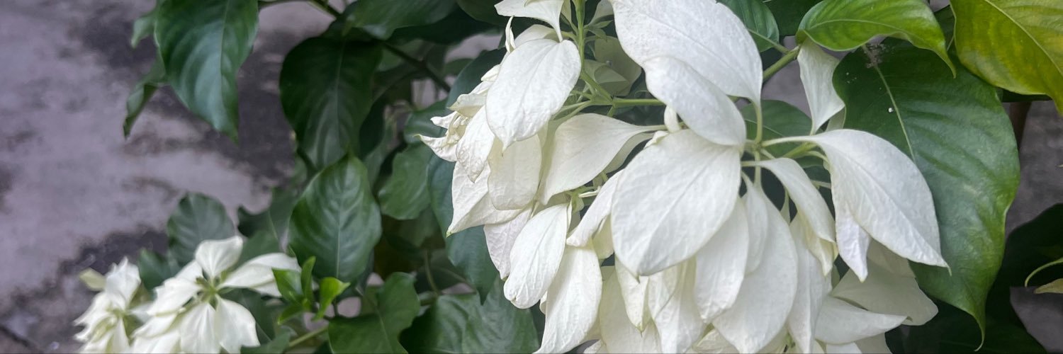 Vvin39413's profile banner image