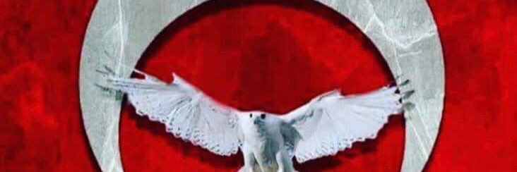 Sertoglu28's profile banner image