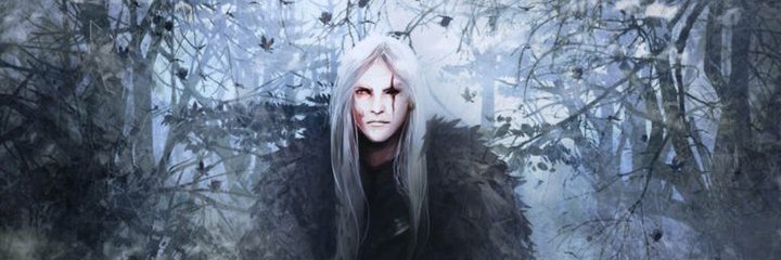daearaxes's profile banner image