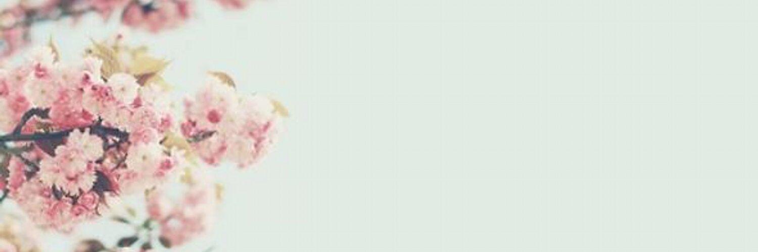 gui_bertoni's profile banner image