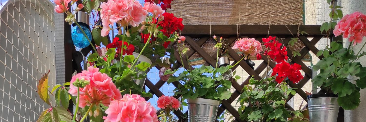 danuta48215's profile banner image
