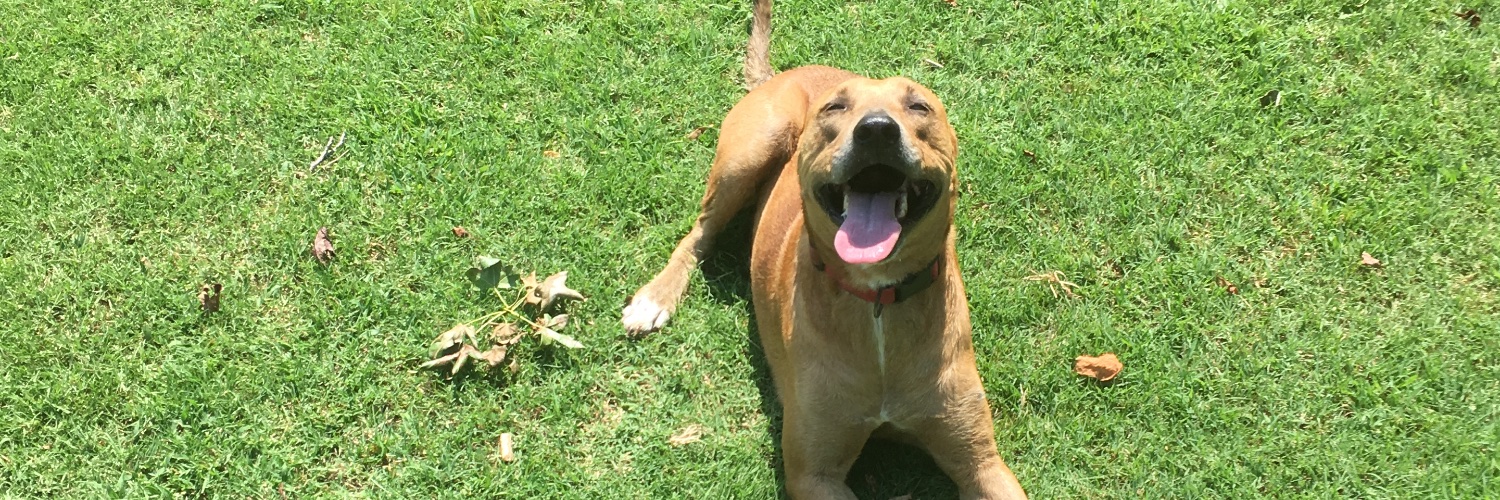 Art Vandelay’s Burner Account banner