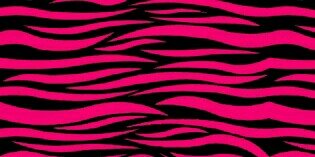 LilLadyJenni's profile banner image