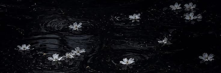 Itsnourelimen's profile banner image