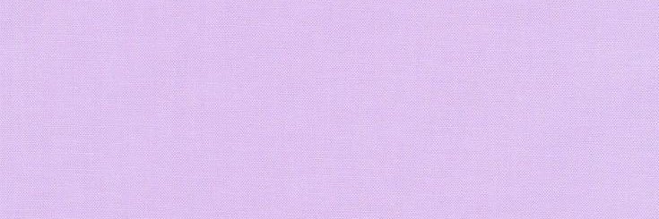 c a m e l i a banner