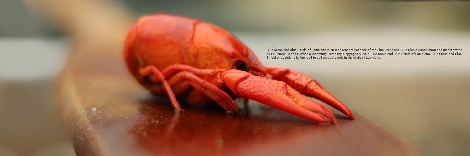 BCBSLAHelp's profile banner image