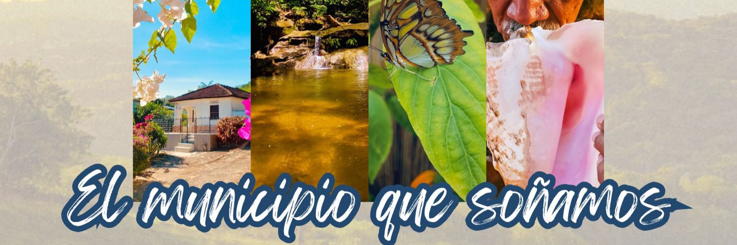 Fernando Tejera banner