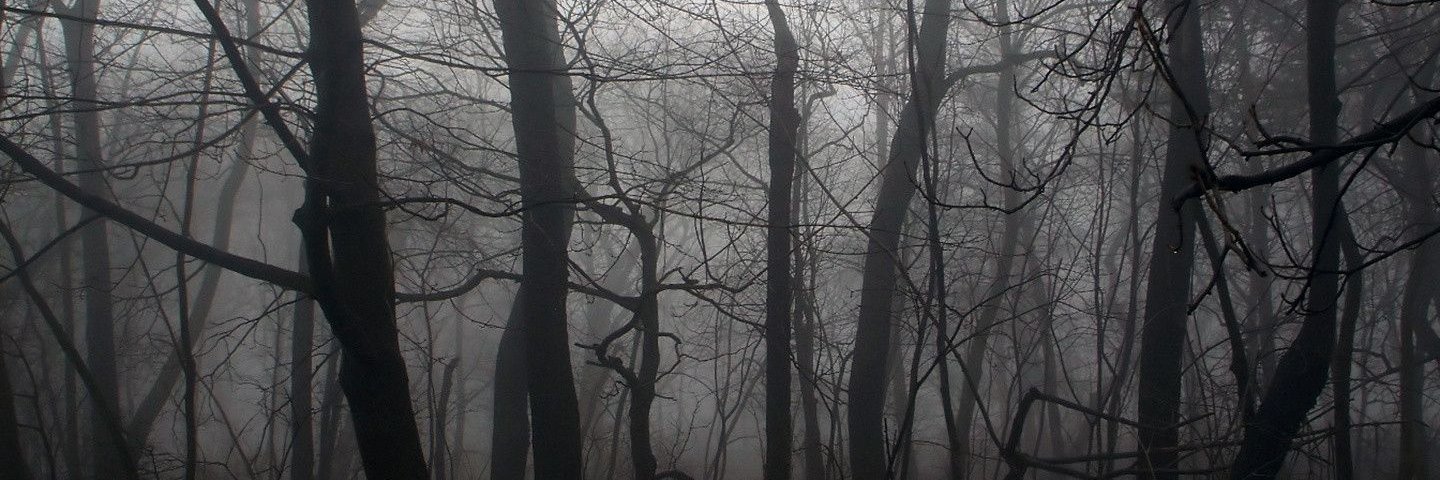 DiegoneScola's profile banner image