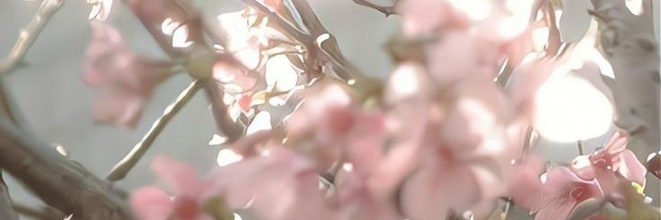 mhystha_'s profile banner image