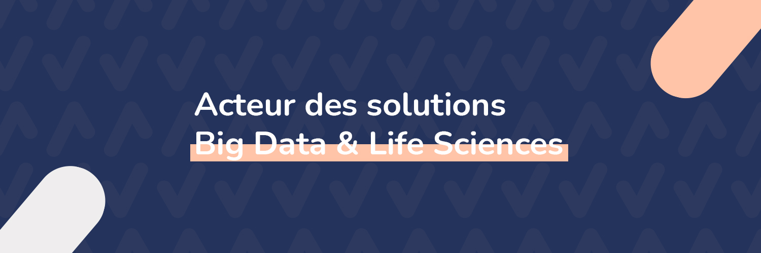Ividata banner