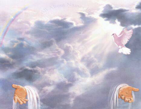 Angie_AlvarezDR's profile banner image