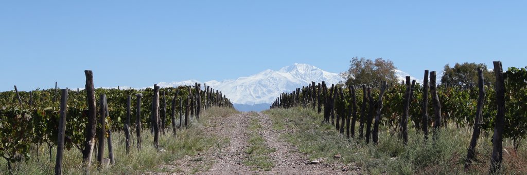 Juanacrem's profile banner image