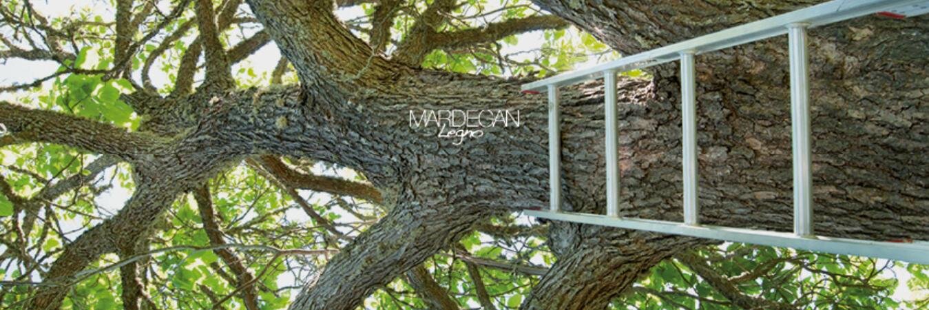 Mardegan Legno banner