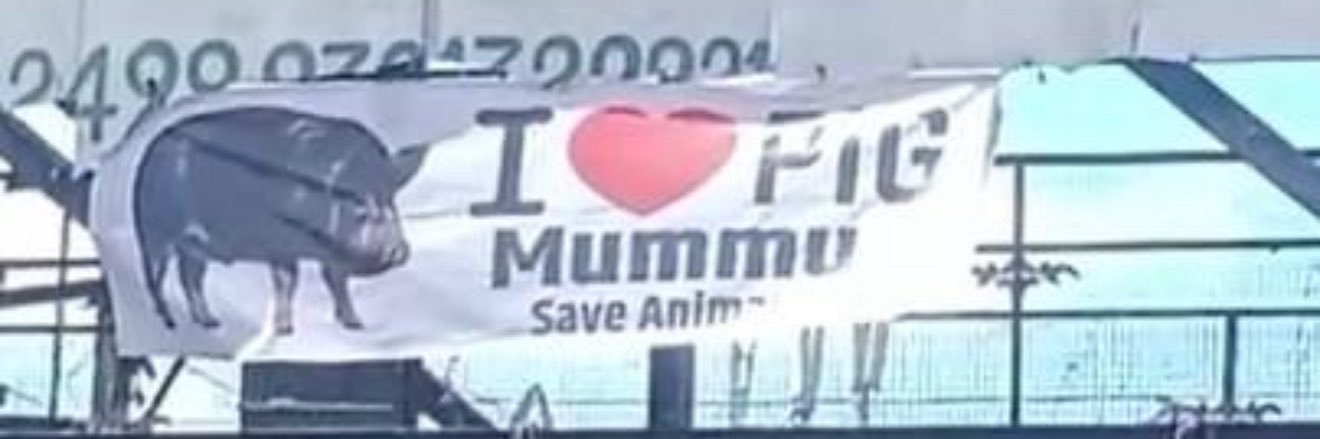 Supravat22308's profile banner image