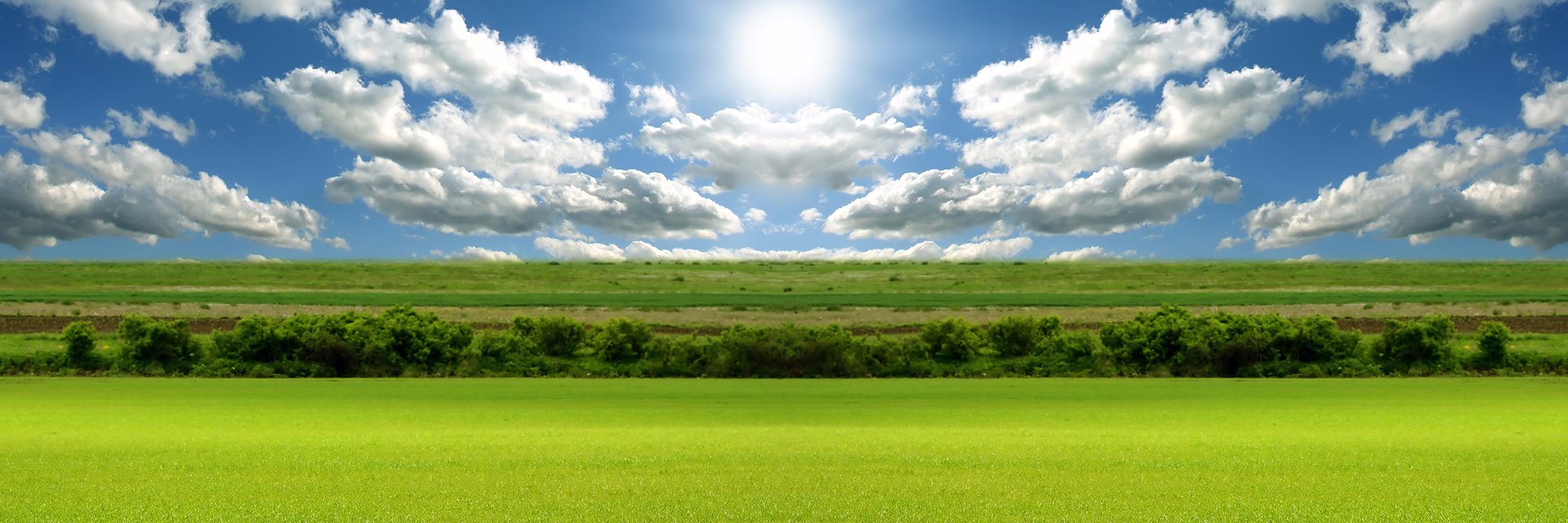 DavisTheDonn's profile banner image