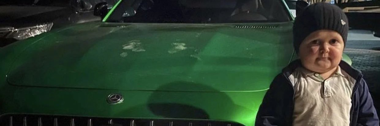 RoyalFlamingo12's profile banner image