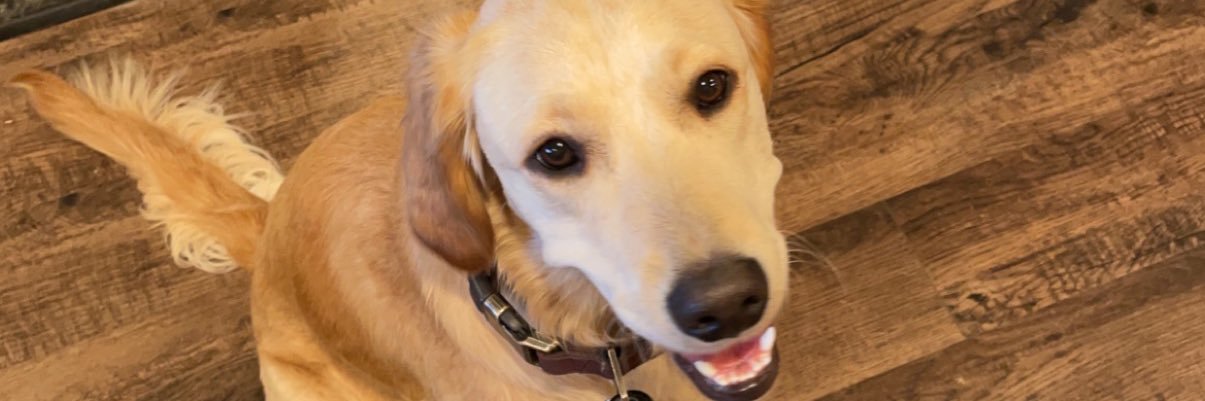 reilly1713's profile banner image