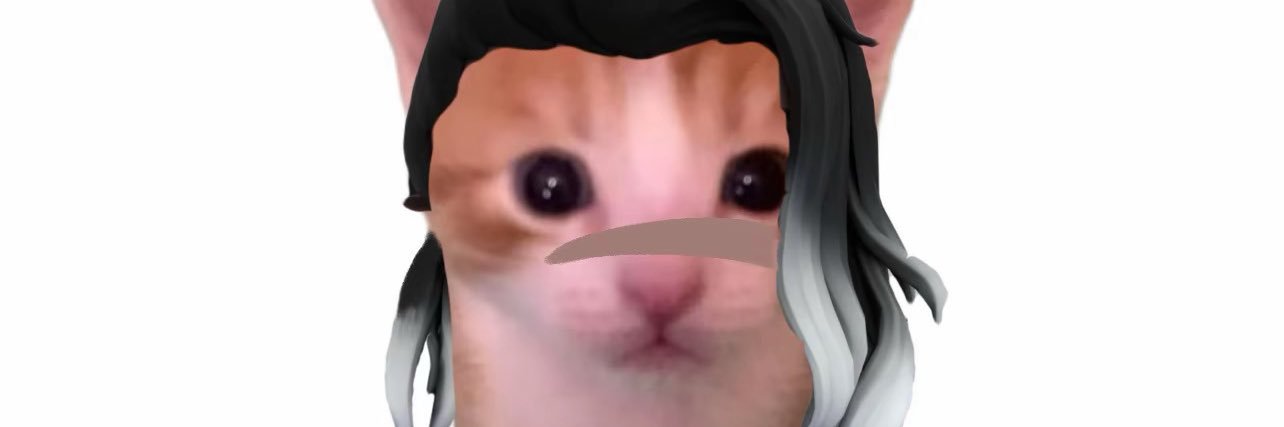 小猫小狗我都喜欢 banner