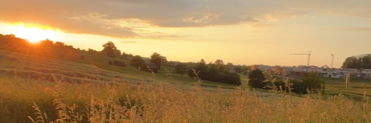 Zeitiger's profile banner image