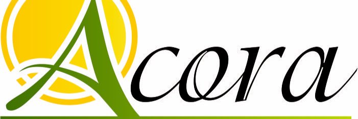 Asociación de Concejos Municipales del Oriente banner