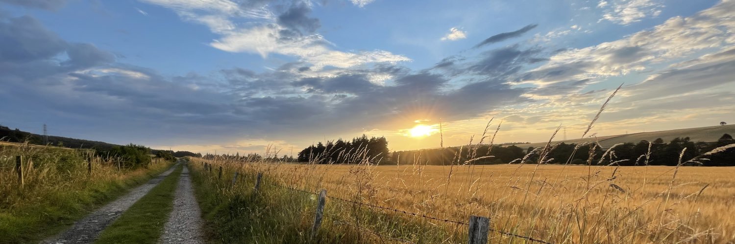 iewilson's profile banner image