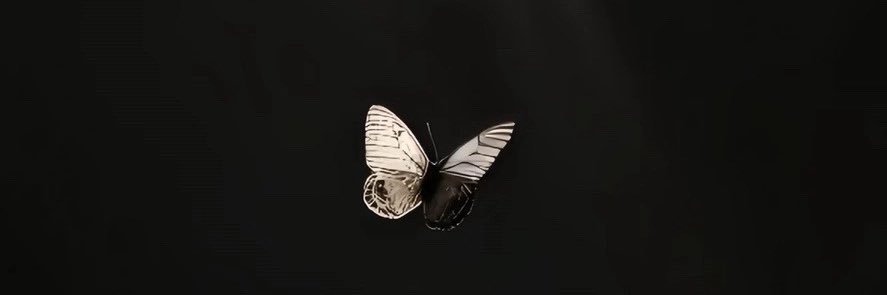 717Absolute's profile banner image