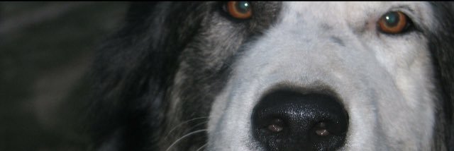 MeredithBrown2's profile banner image