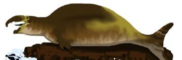 mrhouse ⧉'s banner
