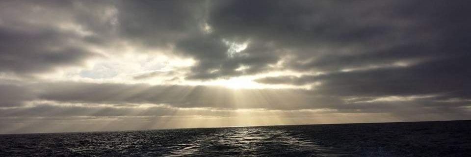 Collin Houchen banner