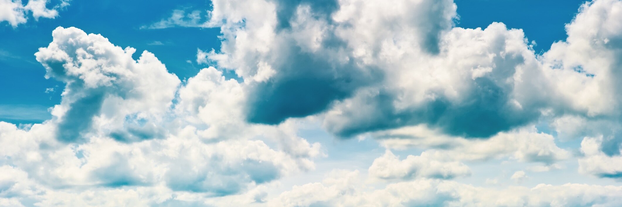 loj5598's profile banner image
