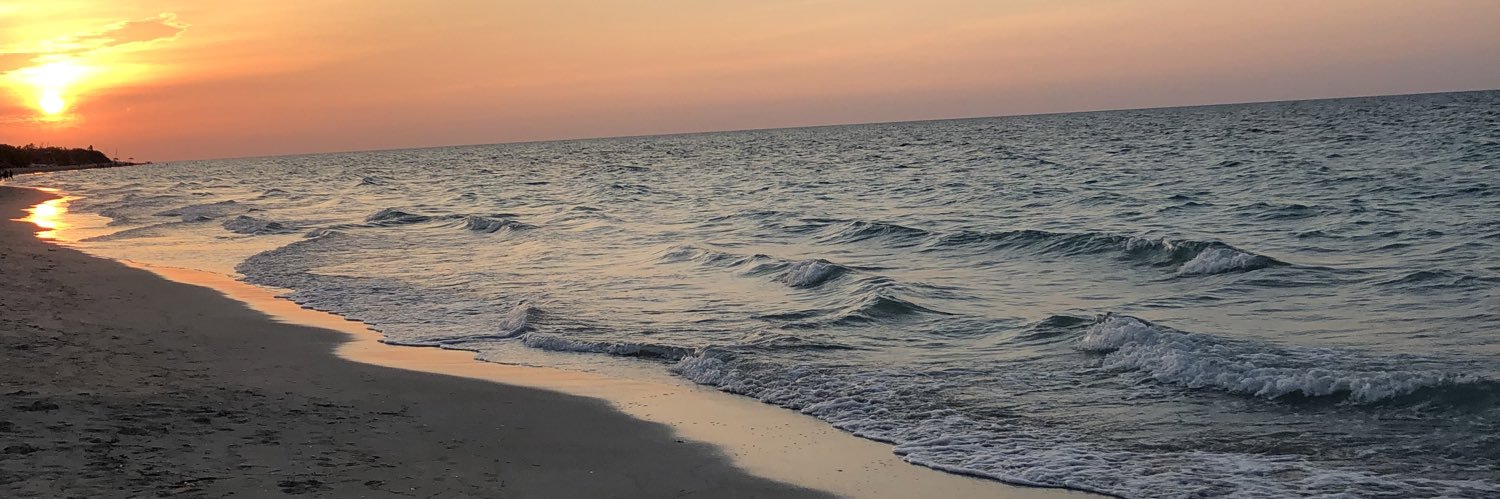 sofipagliettini's profile banner image