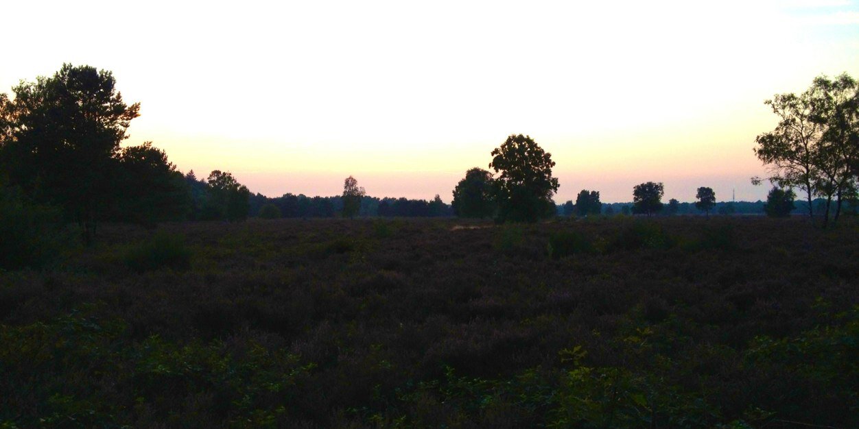 NVRO_NL's profile banner image