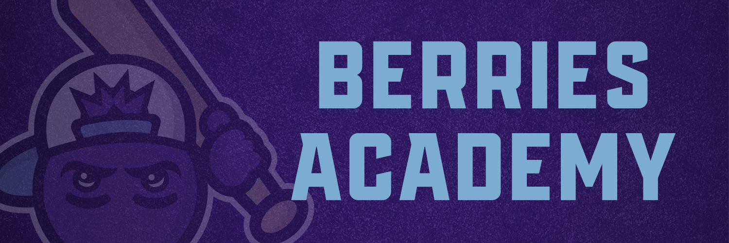 Saskatoon Berries Baseball Academy's banner