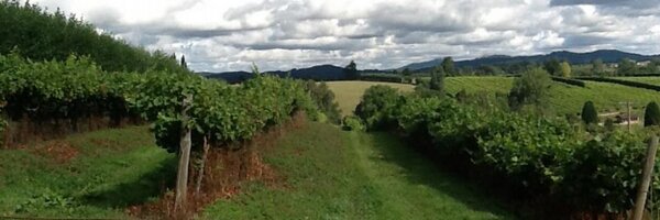 vines_the Profile Banner