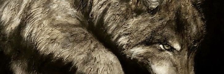 jacaremiope's profile banner image