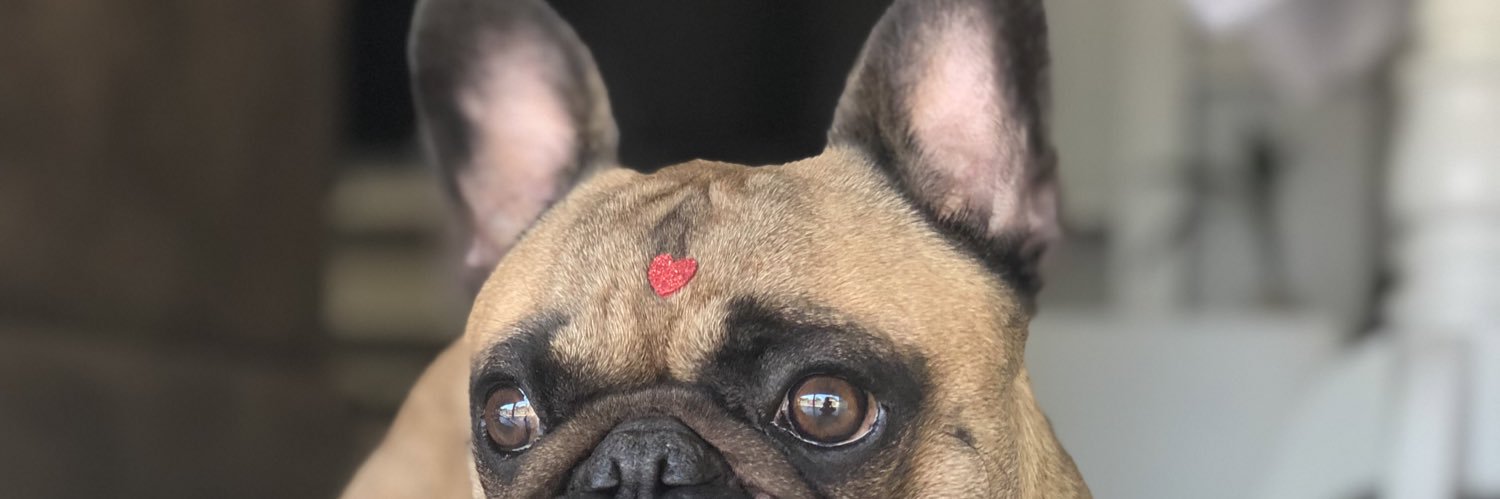 alecavassini's profile banner image