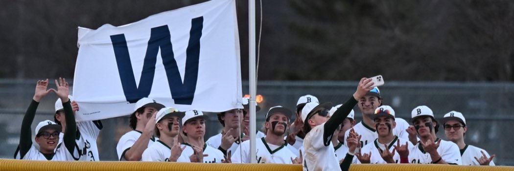 Bartlett Hawks Baseball's banner