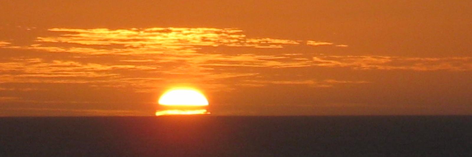 Matteo Leonardi banner