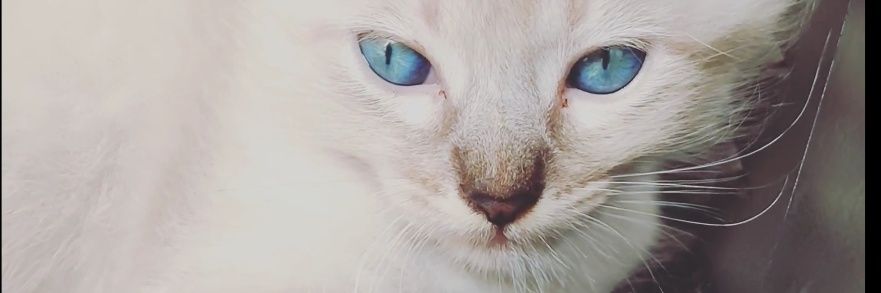 Maarks__s's profile banner image