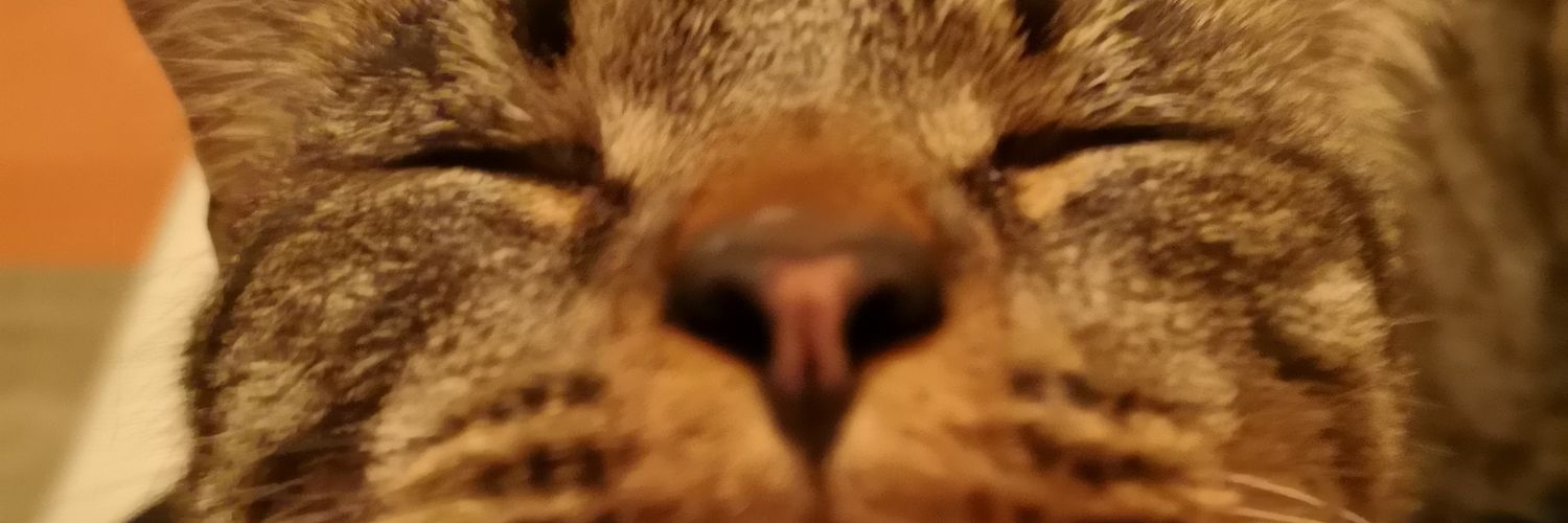 dez_ael's profile banner image