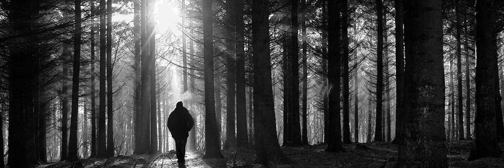 xflipux's profile banner image