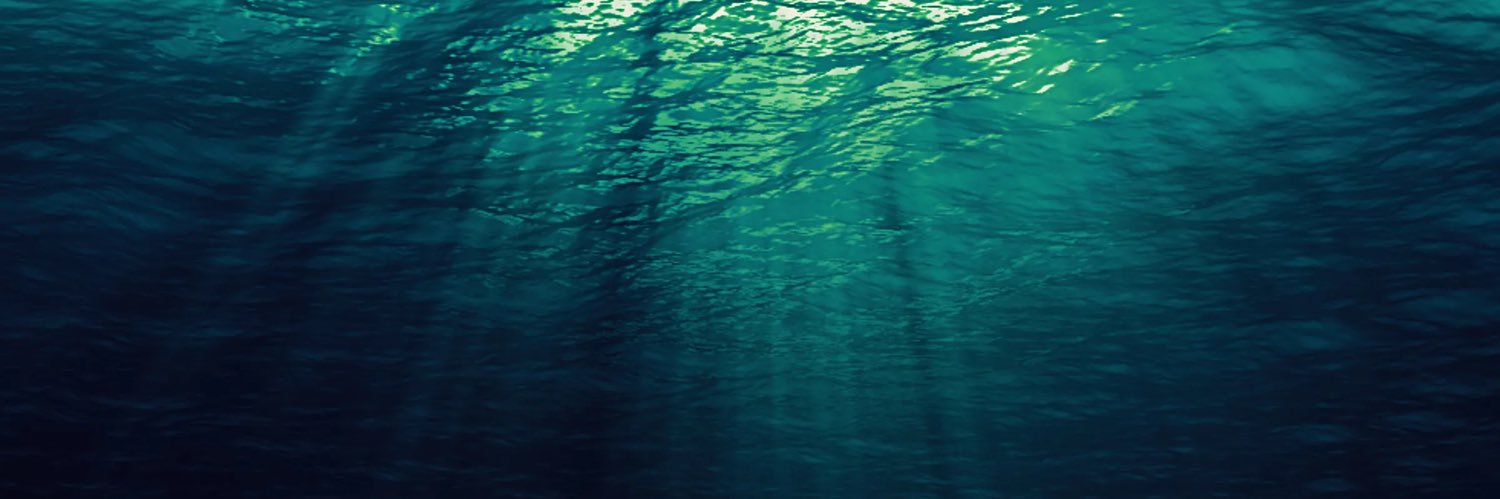 🐟 banner