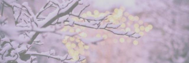 allcacigdr's profile banner image