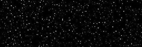 shiarani's profile banner image